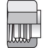 Intrulok Brass Female Flareless Bite Type - Nut and Ferrule